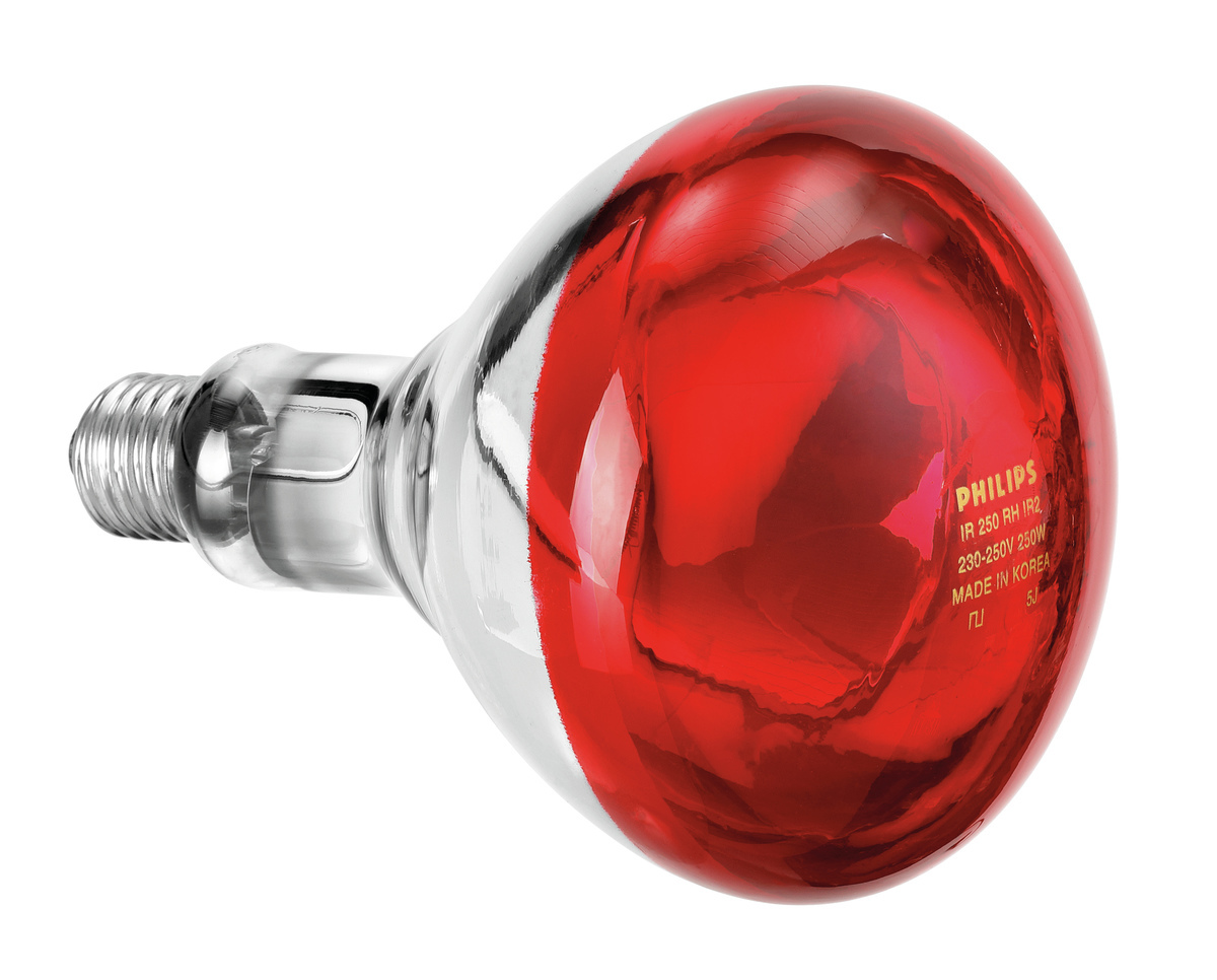 114271 Ampoule infrarouge IWL250D - Bartscher – Image 1